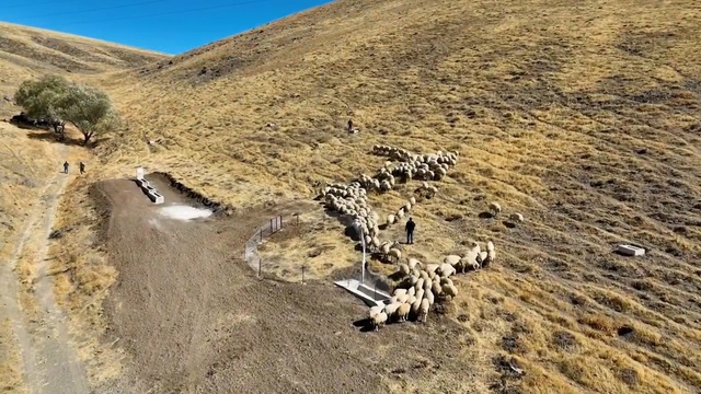 Niğde'de meralara yeni hayvan içme suyu alanı kazandırıldı