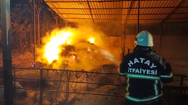 Defne'de samanlık yangını