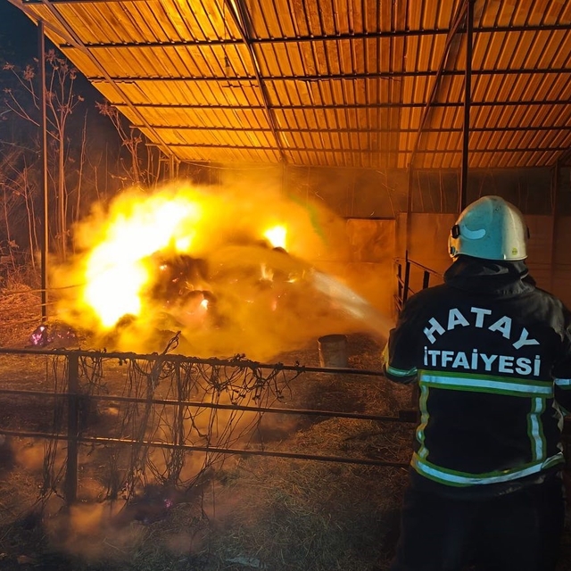 Defne'de samanlık yangını