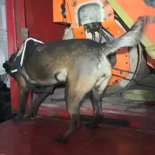 TIR'a yüklü asfalt silindir makinesine gizlenmiş 102 kilo metamfetamin ele...