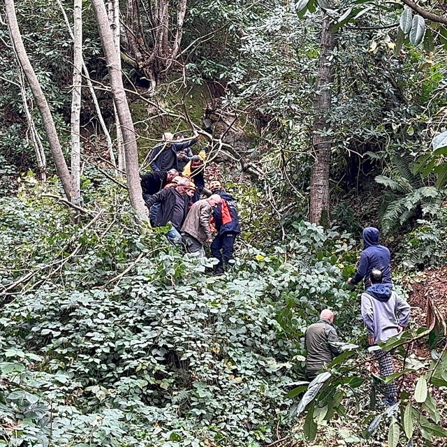 Kestiği ağacın çarpması sonucu yaralandı
