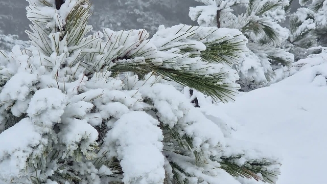 Muğla'ya mevsimin ilk karı yağdı
Göktepe Dağı beyaza büründü