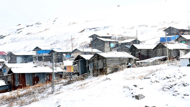 Kars ve Ardahan'da kar yağışı etkili oluyor