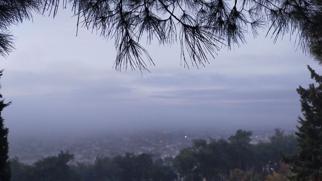 Aydın'da puslu sabah manzaraları mest etti
Sis trafikte görüş mesafesini düşürdü
