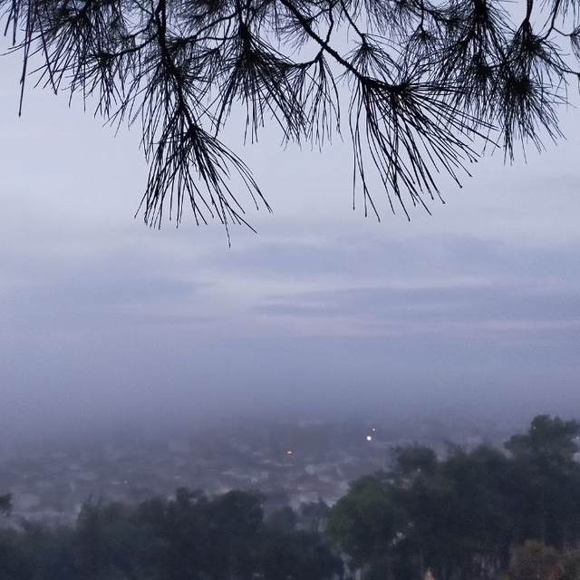 Aydın'da puslu sabah manzaraları mest etti
Sis trafikte görüş mesafesini dü...
