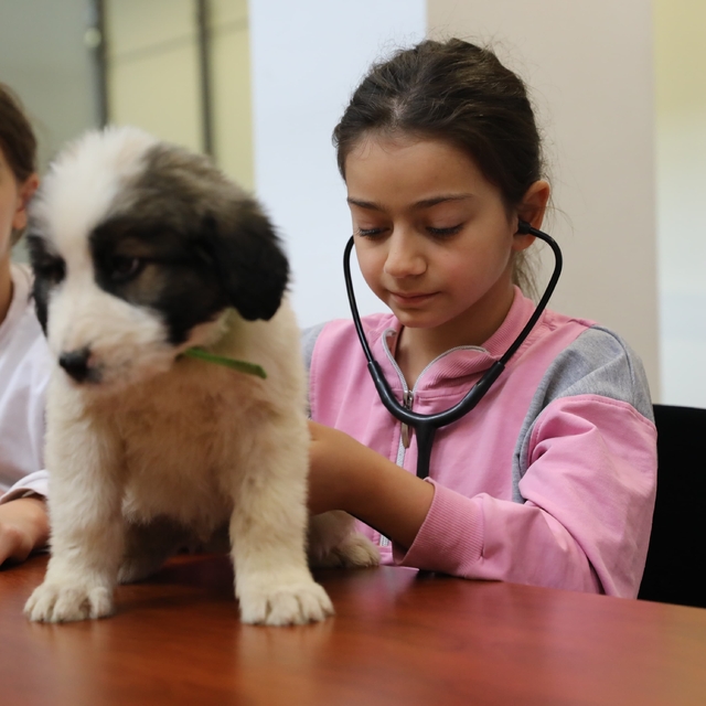 Minik veterinerler görev başında