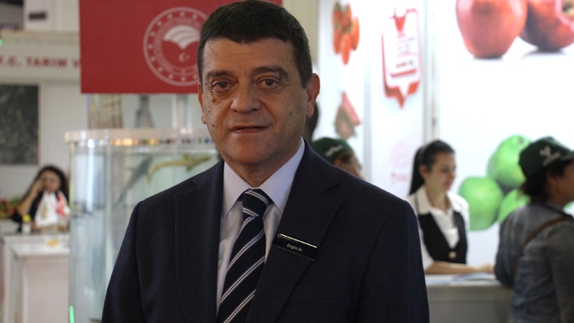 Türkiye'den yurt dışına sebzede en çok domates, salatalık ve biber tohumu gönderiliyor