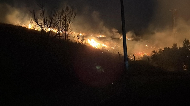 Hatay'da çıkan  otluk yangını söndürüldü