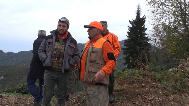 Rize'de ayı için sürek avı başlatıldı