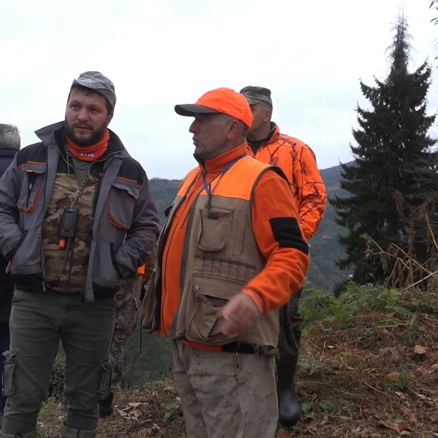 Rize'de ayı için sürek avı başlatıldı