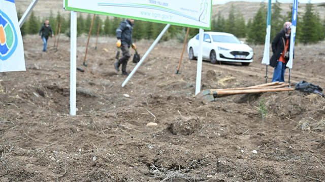 TUSAŞ şehidi Ekici anısına 500 fidan toprakla buluşturuldu