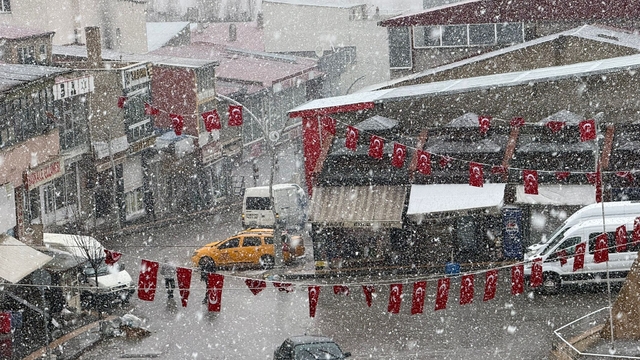 Van'da kar etkili oldu