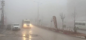 Besni'de yoğun sis etkili oldu