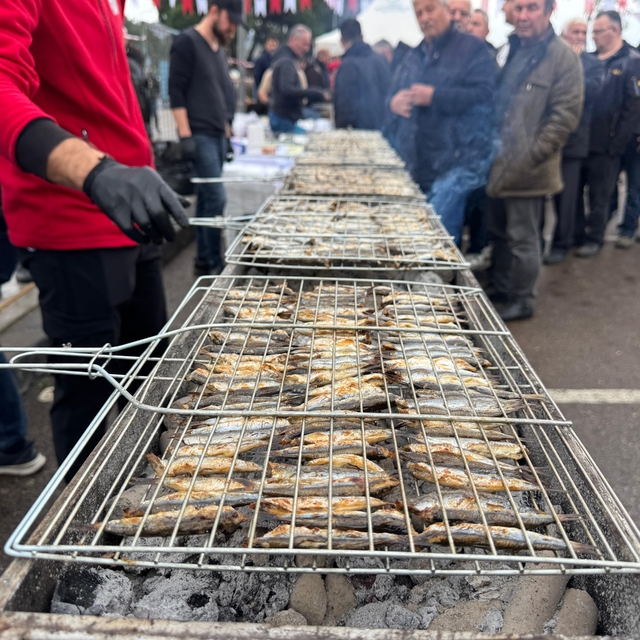 Ordu'da hamsi festivali, 7 ton hamsi ikram edildi