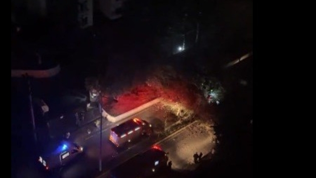 Sürücüsünün içinde olduğu otomobilin üzerine ağaç devrildi