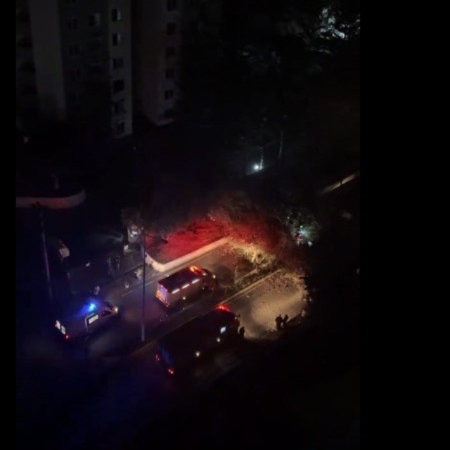 Sürücüsünün içinde olduğu otomobilin üzerine ağaç devrildi