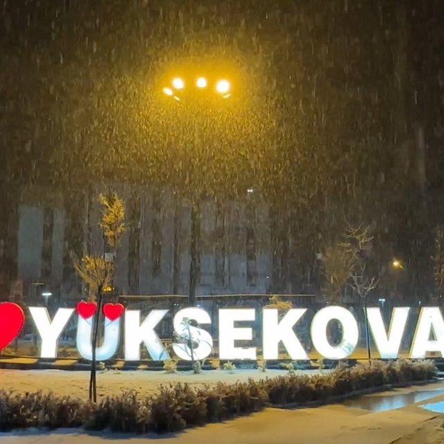 Yüksekova'da lapa lapa kar yağışı