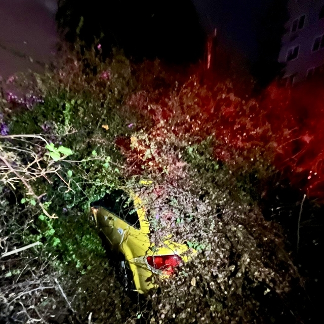 Mersin'de seyir halindeki taksi, devrilen ağacın altında kaldı