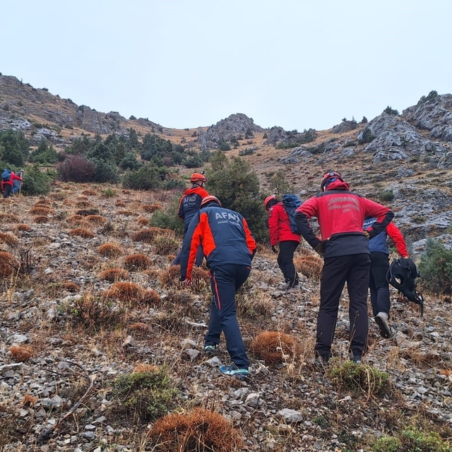 Erzincan'da kayalıklarda mahsur kalan 11 keçi 3 saatlik operasyonla kurtarı...