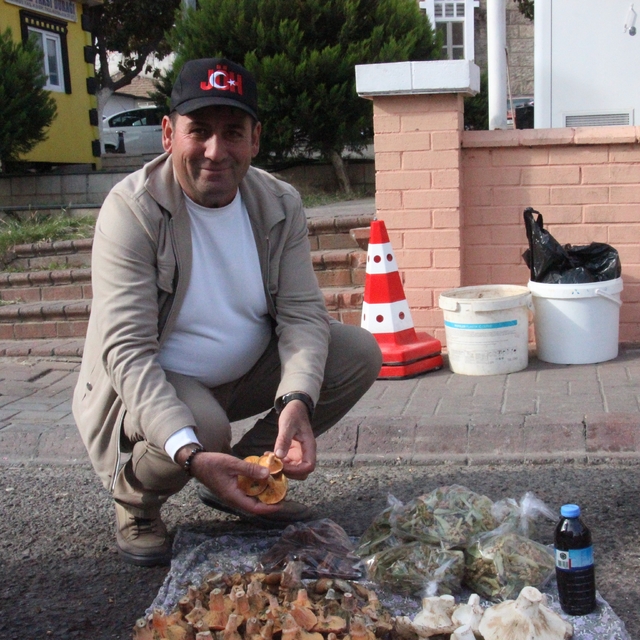 Lezzeti cezbediyor, toplaması dikkat istiyor