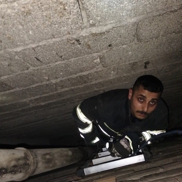 Havalandırma boşluğuna düşen yavru kediyi itfaiye kurtardı