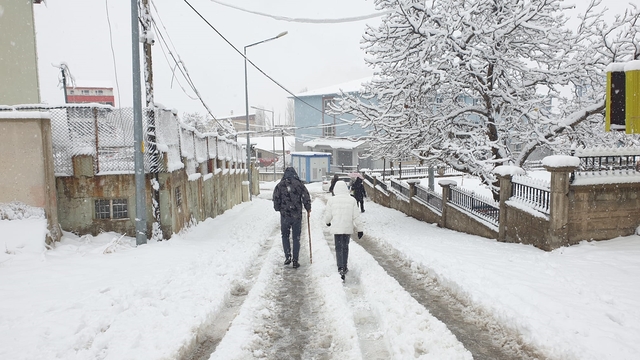 Van'ın 2 ilçesinde 11 yerleşim yeri kar nedeniyle ulaşıma kapandı