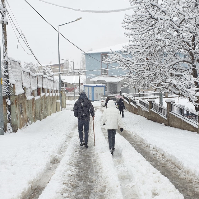 Van'ın 2 ilçesinde 11 yerleşim yeri kar nedeniyle ulaşıma kapandı