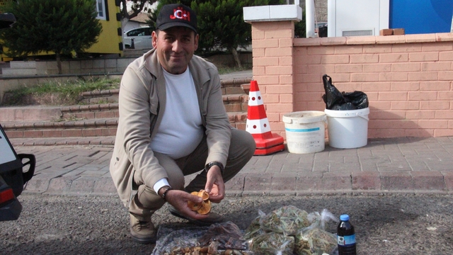 Lezzeti cezbediyor, toplaması dikkat istiyor