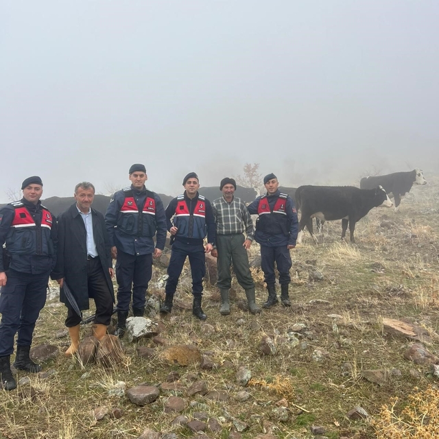 Hayvanları kaybolan kişinin imdadına jandarma yetişti