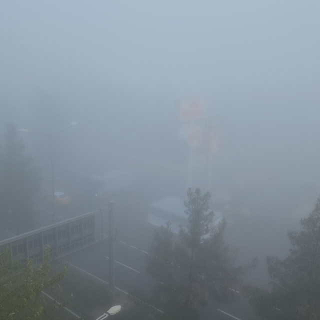 Diyabakır'da sis nedeniyle uçak seferleri aksadı