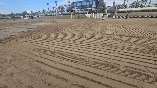 Caretta yuvası kumullar, iş makinesiyle ezildi