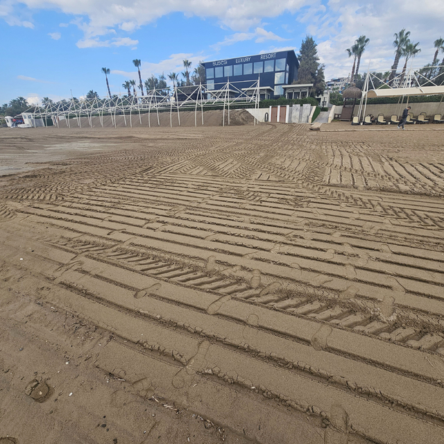 Caretta yuvası kumullar, iş makinesiyle ezildi