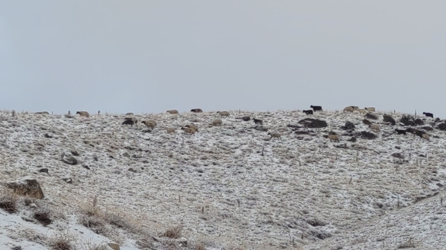 Van'da kış yüzünü gösterdi: Erek Dağı ve çevresi beyaza büründü