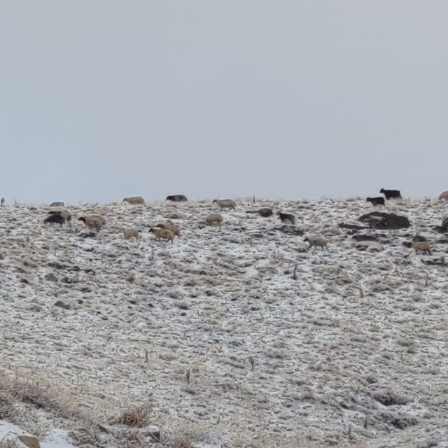 Van'da kış yüzünü gösterdi: Erek Dağı ve çevresi beyaza büründü