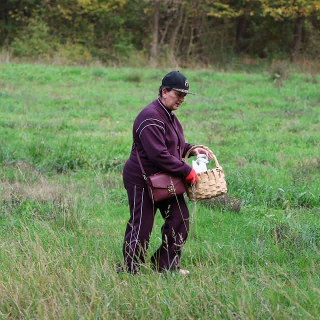 Doğaseverler Ormanya'nın zengin biyolojik çeşitliliğini keşfetti