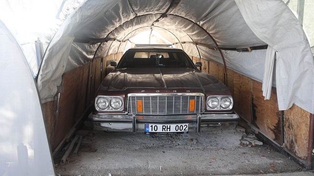 Bu serada sebze değil klasik araba yetişiyor