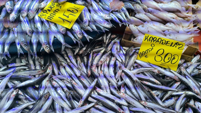 Havaların soğumasıyla balık tezgahlarında alışverişler hızlandı