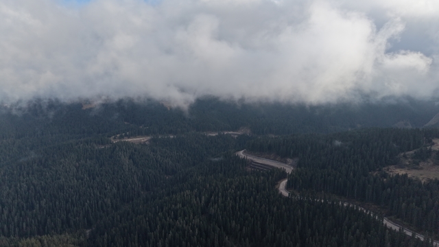 Ilgaz'da çam ağaçlarıyla bütünleşen sis dron ile görüntülendi