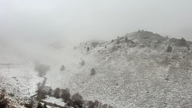 Tunceli'nin yüksek kesimleri beyaza büründü