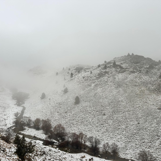 Tunceli'nin yüksek kesimleri beyaza büründü
