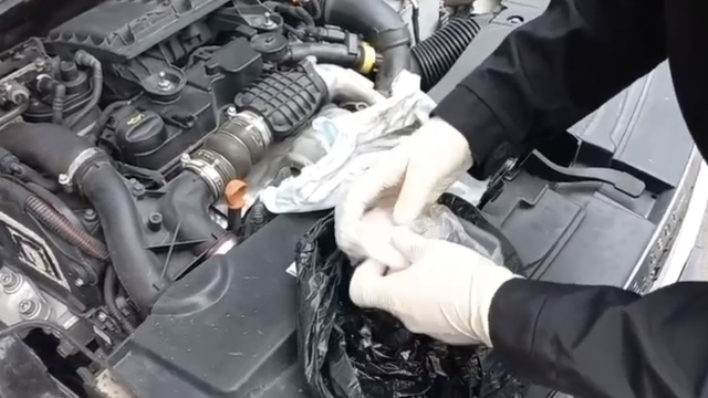 92 kilo bonzai yapımında kullanılabilecek ham madde ele geçirildi; 2 gözaltı