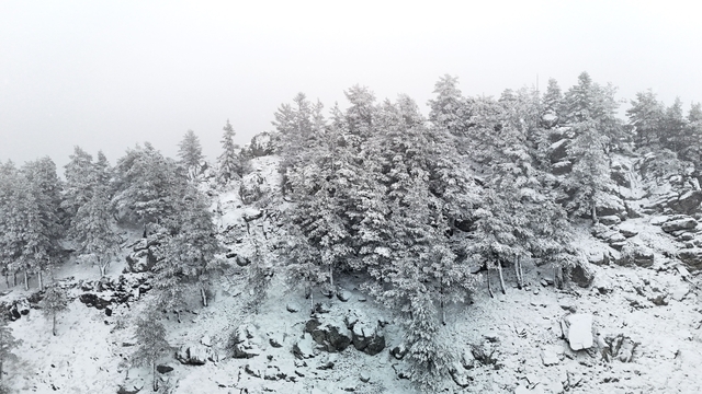Bolu'nun yükseklerinde kar yağışı etkili oluyor