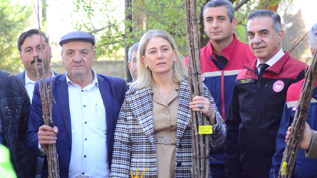 Nazilli'de üreticilere 4 bin kestane fidanı dağıtıldı