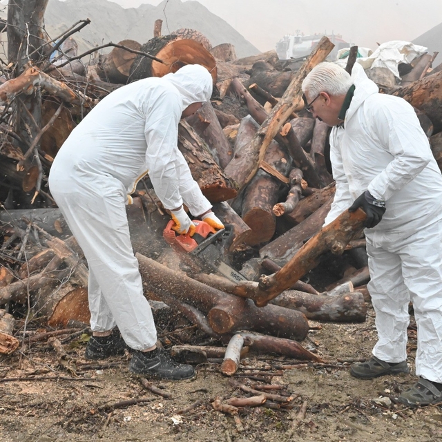 Budanan ağaç dalları ihtiyaç sahiplerini ısıtıyor