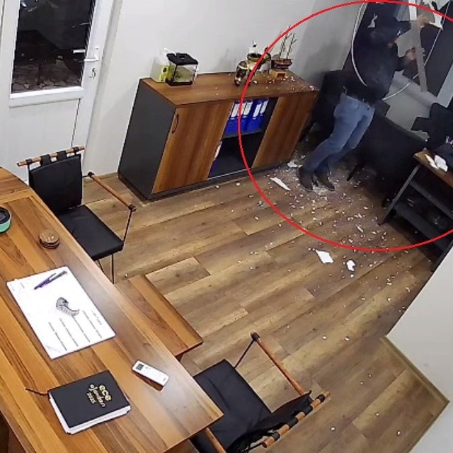 Tavana bastı, ofise düştü: Yara almadan kurtuldu