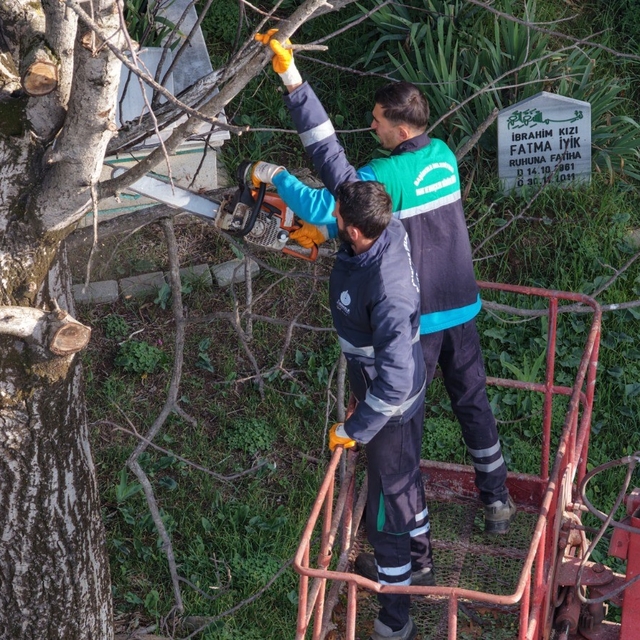 Başiskele'de budanan ağaç dalları ihtiyaç sahiplerine yakacak oluyor