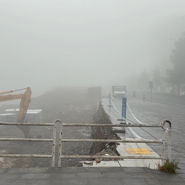 Diyarbakır'da yoğun sis yaşamı olumsuz engeli