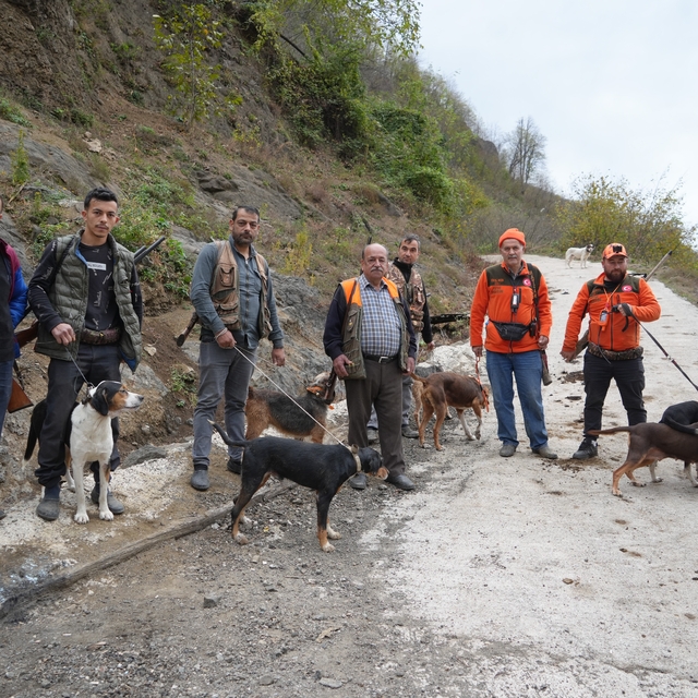 Samsun'da domuz alarmı: Avcılığa "takoz" engeli
Avcılar, domuz avında 'tako...