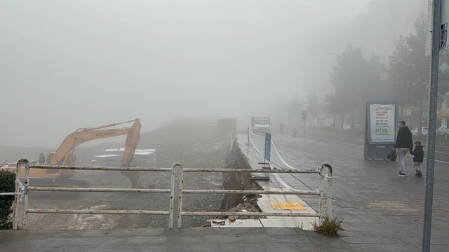 Diyarbakır'da yoğun sis yaşamı olumsuz engeli