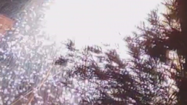 Elektrik kablolarında yaşanan patlama geceyi gündüze çevirdi